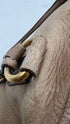 Borsa bauletto vintage