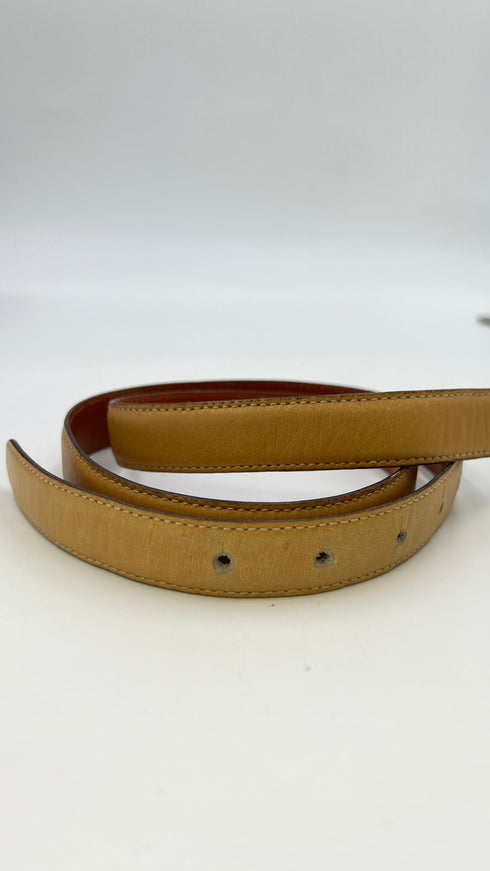 Cintura fibbia lgo