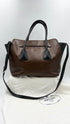 Borsa bicolor