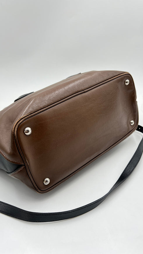 Borsa bicolor