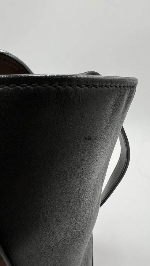 Borsa bicolor