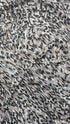 Abito midi in mesh animalier