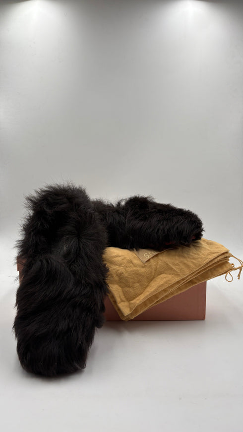Balto N°43