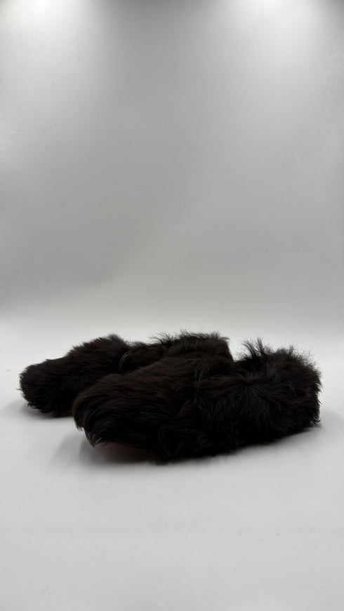 Balto N°43