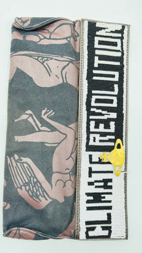 Pochette "Climate Revolution"