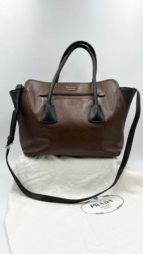 Borsa bicolor