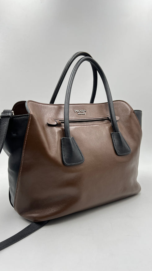 Borsa bicolor