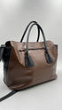 Borsa bicolor