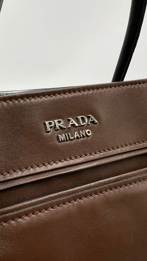 Borsa bicolor