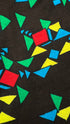 Polo geometrica